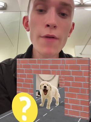 A post by @jackmanifoldtv on TikTok caption: i’m a little puppy boy what can i say? 🐶🐶 #jackmanifold 