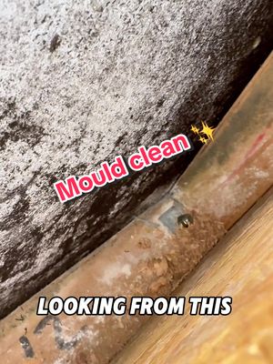 A post by @mumlife_edition on TikTok caption: What is this sorcery @Clean Like a Pro #CleanTok #mould #satisfyingvideo 