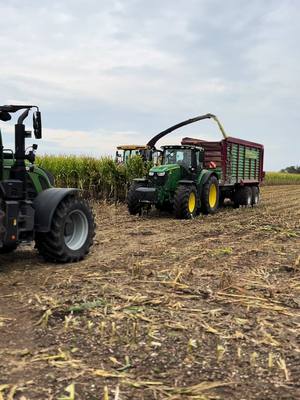 A post by @biogasanlage_kees on TikTok caption: Mais 2K24 in vollem Gange 🔥🔥#fend #johndeere #biogasanlage #maishäckseln 