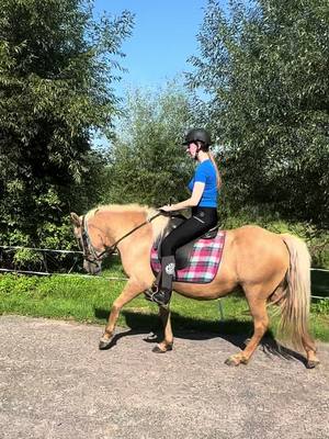 A post by @pixellponies on TikTok caption: Ons eerste ritje🥰 alweer meer dan een jaar geleden. Gaat zo snel😱 . #horses #horse #ijslander #icelandichorse #punktur #foryoupage #foryou 