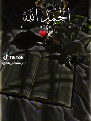 A post by @almalikabrahim1 on TikTok