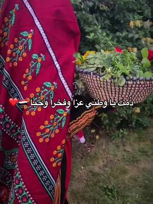 A post by @yemeni_kitchen0 on TikTok caption: دُمت يا وطني عزاً وفخراً وحُبًا 🇾🇪❤️ ٢٦ سبتمبر #اليمن #٢٦سبتمبر   #مغتربين_اليمن  #٢٦_سبتمبر_ذكرى_الثورة_اليمنية #يمنيين_في_امريكا  #٢٦سبتمر🇾🇪 