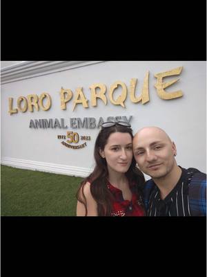 A post by @interinaforever on TikTok caption: Bienvenido a loro parque ❤️ #loroparque #loroparquetenerife #tenerife #canary #canarias #viaje #animals #animalsoftiktok #zoo #animali #amazing #park #parco #neiperte #xte #xyou 