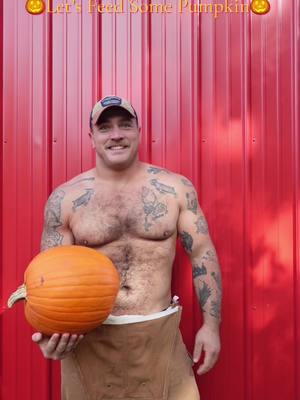 A post by @the_jacked_rancher on TikTok caption: Its that time of year again. Pumpkin season is officially here and my animals can’t get enough of it!  Come take a look at how much they love it. 😋 🎃  #pumpkinseason #fall #farmanimals #farmtok #farmer 