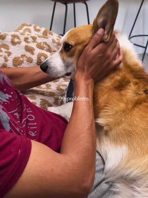 A post by @ketchupthecorgi on TikTok caption: Slow sundays 🥰 #dogsoftiktok #ketchupthecorgi #Home #sundaymorning 