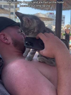 A post by @_chlowatson on TikTok caption: Hes allergic to cats btw but its fine #cyprus #limassol #cats #kitten #fyp 