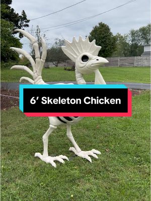 A post by @feralfarmky on TikTok caption: Happy October 1st! 🎃👻💀🕸️🕷️🦇🦉🍂🍁 #sixfootskeletonrooster #sixfootskeletonchicken #tractorsupplyskeleton #tractorsupply #halloween #halloween2024 