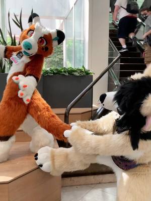 A post by @worm_soup on TikTok caption: Real friends throw hands on sight @Z #furry #furryfandom #fursuit #furries #fursuiting 