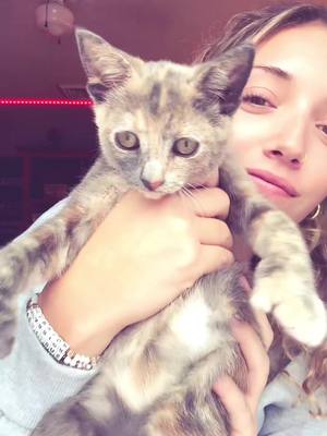 A post by @alexfiggueroa on TikTok caption: my little cutie pie princess👑💕#kitty #kisses #MomsofTikTok 