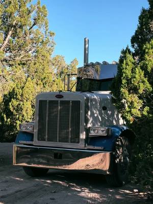 A post by @ace.cashflow on TikTok caption: Just your average 10 wheeler 😌 #peterbilt #379peterbilt #longnose #cat #dumptruck #semi 