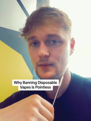 A post by @rho.oxy on TikTok caption: Why I Think Banning Disposables Is Silly