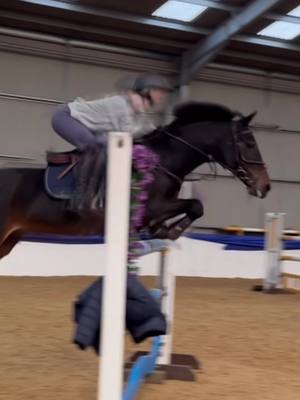 A post by @maisieallsop_sj on TikTok caption: Rebel on 🔝 form ✨ Feeling HOYS ready 🙌⚡️ • • #attyroryrebel #showjumping #ponyshowjumper #showjumper #devoucoux #devoucouxsaddle #britishshowjumping #fyp #foryoupage #showjumpersoftiktok #148pony #showjumpingpony #britishshowjumper 