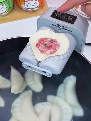 A post by @newlifehacks3_us on TikTok caption: I didn’t expect that there is such high technology. It can easily shape dough of various sizes. It is quick and labor-saving. You can make dumplings without using your hands! #DumplingMold