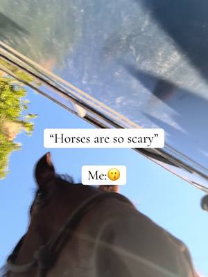 A post by @autumnvincent2 on TikTok caption: #horses #fypシ゚viral #viraltiktok 