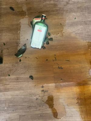 A post by @timbabruh on TikTok caption: #sad #jager #jagermeister #fuuuuuuuu 