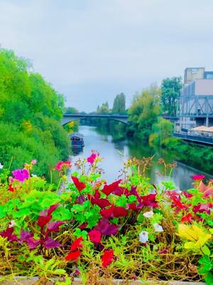 A post by @essameldin.daily on TikTok caption: Rheine #essamdaily #nature #natural #naturelove #fotografia #photography #emsland #nrw #nordrheinwestfalen #rheine 