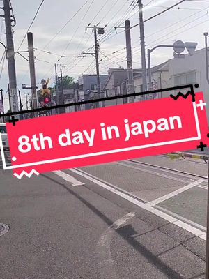 A post by @shihokachan on TikTok caption: A bientôt Tokyo ! 🌺🫶🏻 #japon #vlogjapan #japanvlog #Vlog #japan 