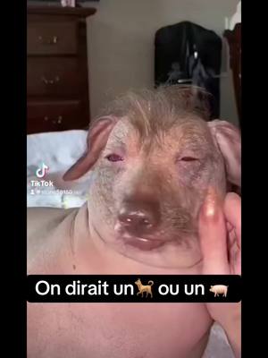 A post by @aurelie130000 on TikTok caption: #pourtoi #foryou 