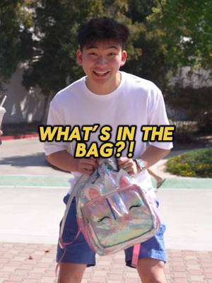 A post by @themindsetguyy on TikTok caption: Would you trade your bag for a mystery bag lol? #viral #fyp #themindsetguyy 