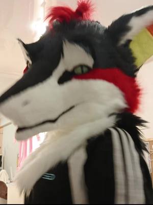 A post by @_zara_147 on TikTok caption: ТГК - ZaRa_207  #furry #fursuit #sergal 