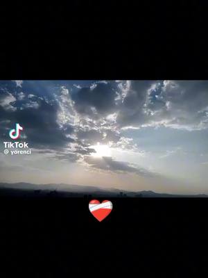 A post by @gatitofiufiudvalladares on TikTok