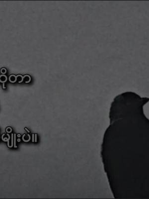 A post by @eizu81 on TikTok caption: #CapCut #🥺🥺🥺💔💔💔 #နိမည်သာလှတာ