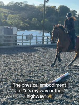 A post by @millieandmickey on TikTok caption: Was it what I wanted? Technically. Was it how I wanted it? No 😂😂 #equestrian #horse #horseriding #horsegirl #horsegirlvibes #equestrianlife 