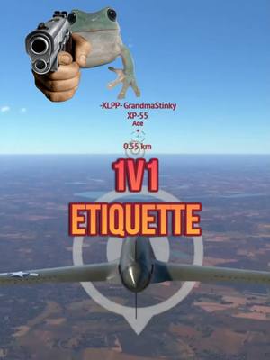 A post by @justintimefrog on TikTok caption: The Rules and Ettiquette of 1v1s! #warthunder #1v1 #warthunderaviation #fighterjet#fighterpilot #plane