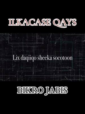 A post by @king.kongqays on TikTok caption: @Ilkacase Qays#fyp#hees#somalitiktok#ilkacaseqays#xamar#ogadenia#kenyantiktok#ilkacaseqays#hargeysa#somalitiktok@