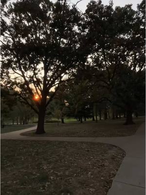 A post by @catenunnelee on TikTok caption: yay Kansas sports!! #cheifs #royals #kansascity #runningvlog @Brett’s Bites @lululemon @Odele Beauty 