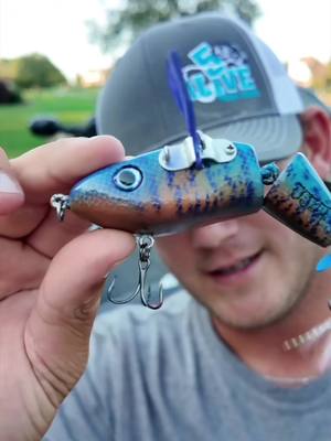 A post by @adubfishing on TikTok caption: Mail days are the best days #fishing #bassfishing #Outdoors 