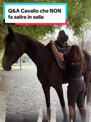 A post by @equestredentro on TikTok caption: Risposta a @anna💚 La prima cosa da escludere è che le cause non siano dovute a un mal di schiena o a una sella non adatta. Poi ti consigliamo di provare a sellarlo in libertà per vedere se il problema è legato alla bardatura. Se il cavallo si rifiuta anche in quella situazione, è meglio non montarlo finché non hai risolto il problema. Se vuoi approfondire l'argomento, ti suggerisco di iscriverti alla nostra membership Obiettivo Binomio. . . . . .  #equestri #equestredentro #horse #horses #horsesofinstagram #horsesofweek #horsemanship #equestrian #equestrianlove #equinelife #equitation #equus #cavallo #cavalli #acavallo #cavalcare #equestre #equitazione #addestramentocavalli #cavaliere #equitazioneeticaescientifica #maneggio #academy #equitazioneconsapevole #QnA #formazioneonline #sellare #accademiaequestri #domandaerisposta #accademiaequestri