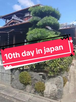 A post by @shihokachan on TikTok caption: svp quand vous allez dans un pays étranger RESPECTEZ LES RÈGLES. Ça ne sert a rien de visiter un pays sans respecter les cultures dans le pays dans lequel vous êtes !  #japan #Vlog #japanvlog #vlogjapan #japon 