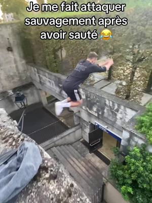 A post by @val_fian7 on TikTok caption: Un vrai molosse 🐕 #parkour #session #jump #wtf #chien #attaque 