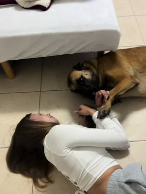 A post by @malinkaa.dk on TikTok caption: Актив?#malinkadk #fypシ #дайра #malinois 