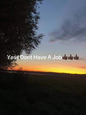 A post by @nikolaysemenenko on TikTok caption: #yolo yes!