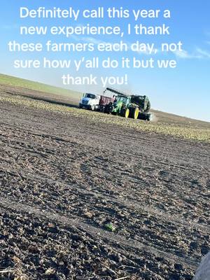 A post by @tdouble1987 on TikTok caption: #farming #minnesota #fypシ゚viral #beetharvest2024 #beets #amity #artsway #johndeere 