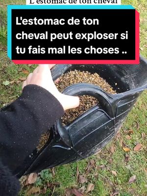 A post by @laet.brb on TikTok caption: C'est tellement dingue 🥲 En bref ; ➡️ Pensez à réhydrater les aliments déshydratés avant de les donner à vos chevaux, pour la pulpe de betterave que j'utilise il s'agit d'un volume de granulé pour 3 volumes d'eau. Exemple : 1 litre de pulpe de betterave pour 3 litres d'eau. Laisser reposer 10 à 12 heures avant de le donner. ➡️ Ne pas dépasser 0.5% du poids de votre cheval en aliments concentrés afin de ne pas surcharger son estomac, le cheval n'est pas fait pour manger de gros repas d'un coup, il est fait pour manger en continu. Privilégiez de petit repas en plusieurs fois plutôt qu'un gros en une fois. Exemple de calcul : 500kg x 0,5% = 2,5kg (dans cet exemple si mon cheval fait 500kg ça veut dire que je ne dois pas dépasser 2,5kg de ration par REPAS, et non pas par jour), cela ne concerne pas le foin ou l'herbe mais les aliments concentrés (granulés, floconnés ou céréales). #alimentationequine #horsenutrition #cavalier #cavaliere #equestre #cheval #equitation #equestrianvibes #poney #nutritionnisteequin #equin #pulpedebetteraves 