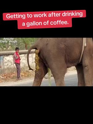 A post by @uncle_jester on TikTok caption: #deadpool #coffee #work #comedy #relatable 