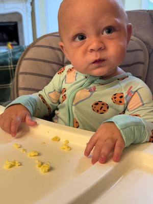 A post by @savyates_ on TikTok caption: Baby eats 🍳🥑 #baby #fyp #boymom #MomsofTikTok 