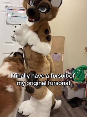 A post by @moosetheboofer on TikTok caption: JK he has more fursuits than me  #furry #furries #furrys #furryfandom #fyp #furrytrash #furrytrend #furrytiktok #furriesoftiktok #fursuit #fursuiter #fursuiting 