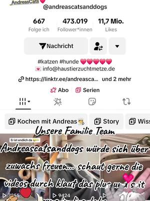 A post by @ghostraider_sis_ on TikTok caption: @Only(CAT)Fans#Team_AndreasCats @❤️AndreasCats❤️ #katzen #hunde #liebe #familie #foryou