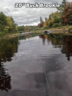 A post by @flylords on TikTok caption: Have you ever caught a brookie this big? ~ Check out the full Angler Story of the Week from @nobootprints at [FLYLORDSMAG.COM] ~ 📸: @nobootprints ~ #flylords #flyfishing #fishing #brooktrout 