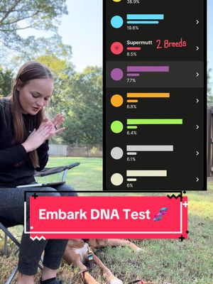 A post by @revival_canine on TikTok caption: @Embark Dog DNA Test results are back for Eeyore the Pipe Puppy! Can you guess his breed makeup without cheating? 🫣🤔🐾💕 #dnatesting#dogdna#embark#rescuepuppy#surprise 