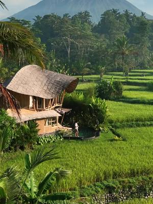 A post by @travelwith_e.g on TikTok caption: Bali you’re beautiful 🌿🇮🇩 #bali #bamboohouse #airbnbfinds #airbnbgoals 