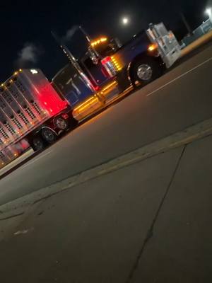 A post by @byrd6.7 on TikTok caption: #clean #bullhualer #peterbilt #fyp #pressurewashing #getcleanedup 