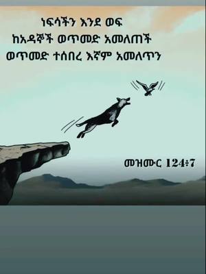 A post by @henok_love on TikTok caption: #habeshatiktok #ethiopian_tik_tok #Viral 