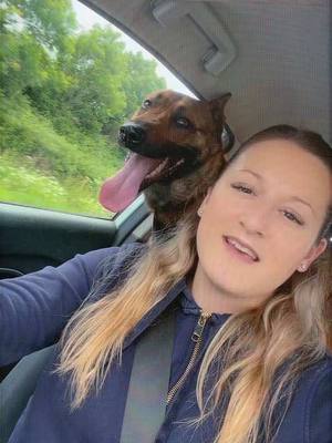 A post by @amandinepiet on TikTok caption: Toujours en bonne compagnie 🥰  #cejour #malinois #pourtoi 