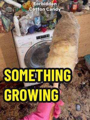 A post by @aurikatariina on TikTok caption: What’s growing over there??? 🌱#CleanTok #sariafyingcleaning #hoarders #sparklingclean #beforeandafter #tidyup