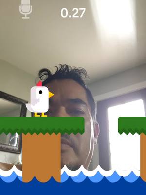 A post by @nelycar1 on TikTok caption: pinché pollo 🤣🤣🤣 #🤣🤣 #pollito #littlechicken 